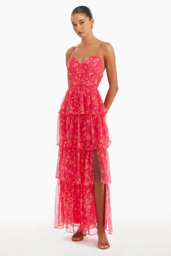 Thaddea Maxi Dress in Brookside Print view 1