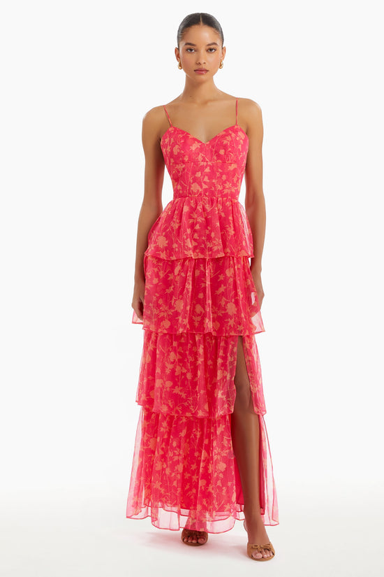 Thaddea Maxi Dress in Brookside Print view 1