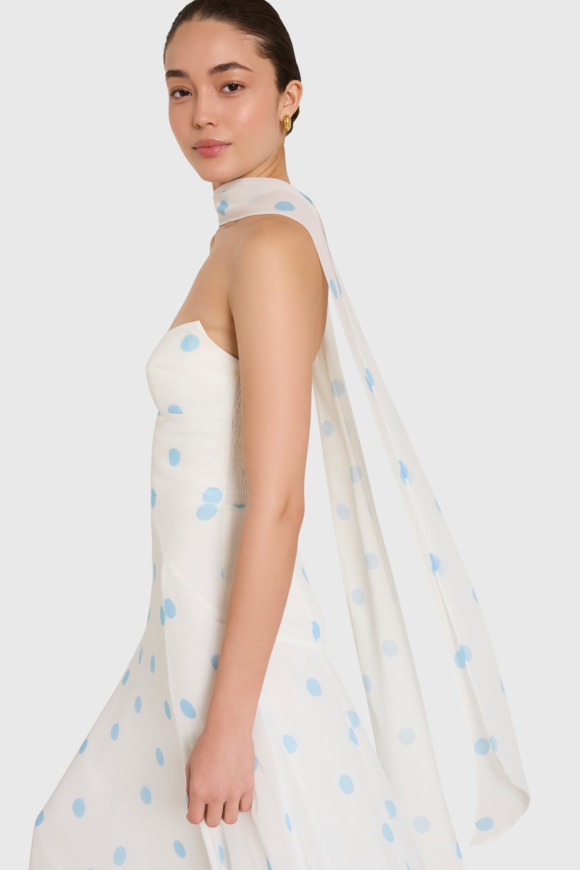 Monterey Dress With Scarf in Polka Dot view 4