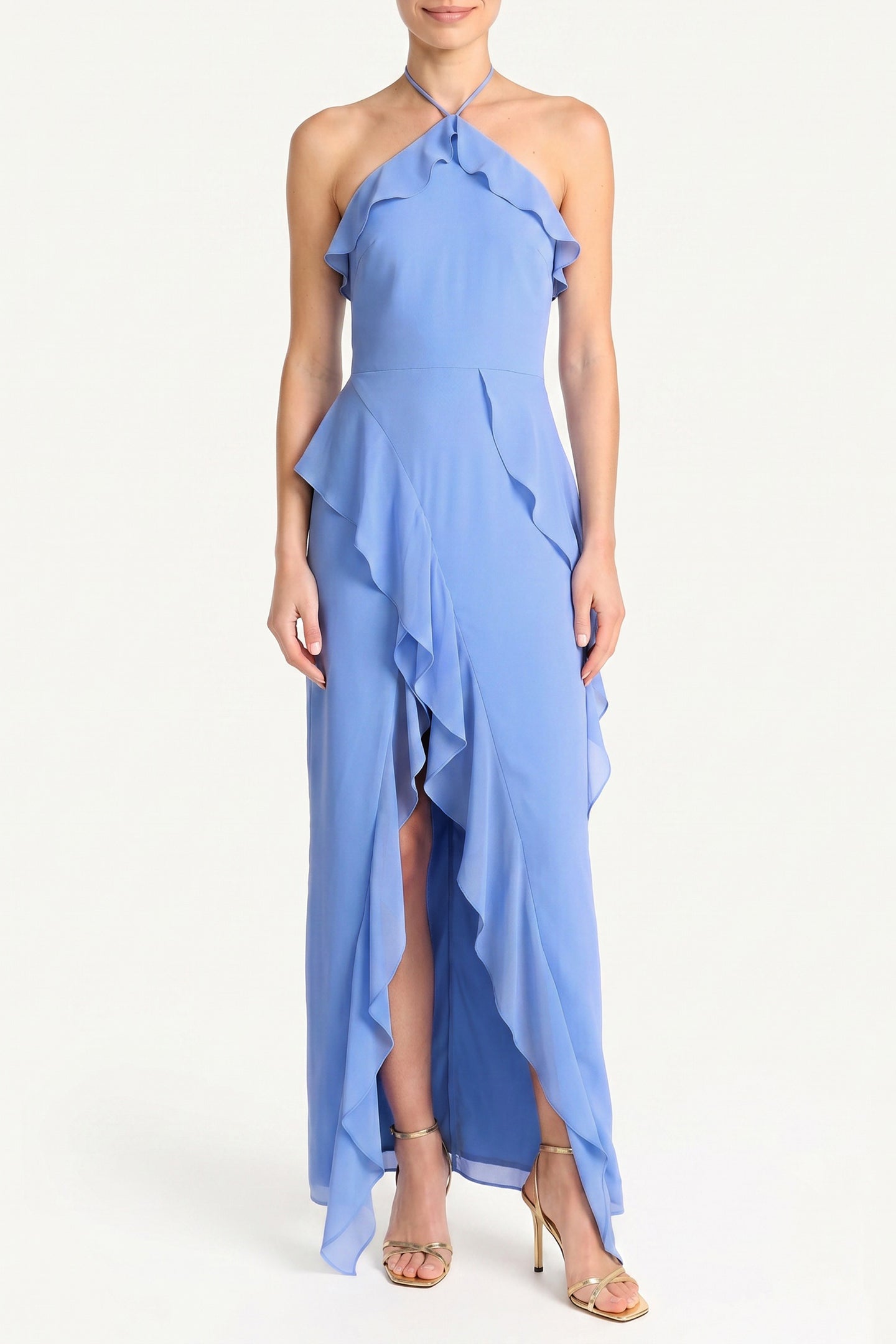 Alessandra Maxi Dress in Chiffon View 1