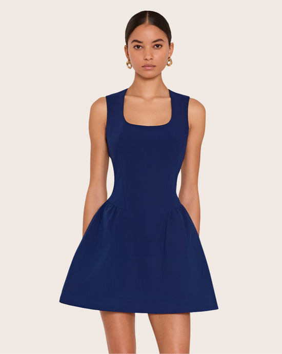Amanda Uprichard - Mini Dresses Bucket - model wears a blue mini