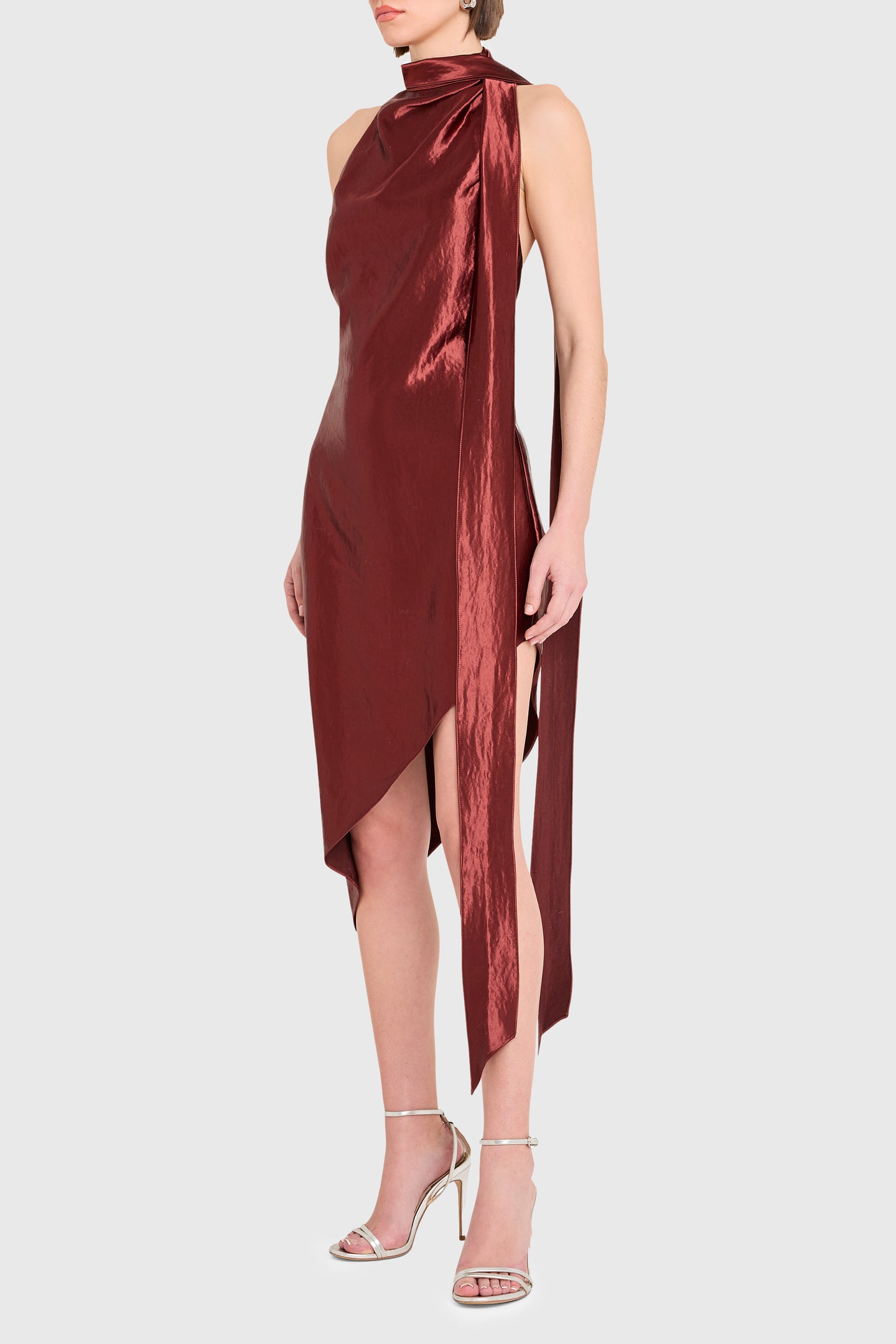 Vallani Dress View 2