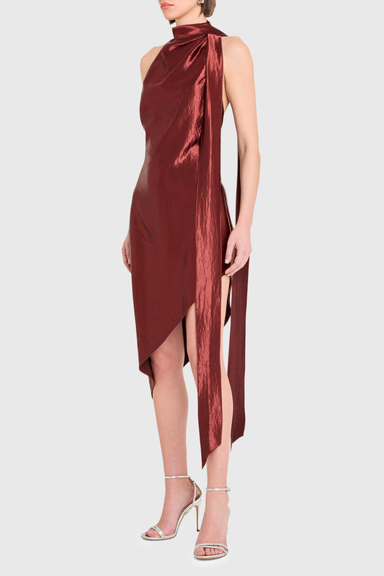 Vallani Dress view 2