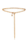Lucky Link Waist Chain Belt View 2