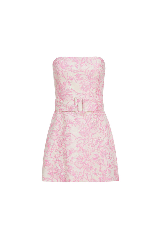 Fae Dress in Toile Brocade view 1