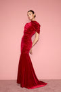 Evianna Gown in Velvet View 6